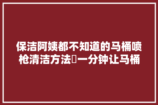 保洁阿姨都不知道的马桶喷枪清洁方法㊙一分钟让马桶内外都干净