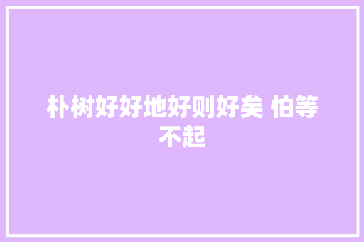 朴树好好地好则好矣 怕等不起