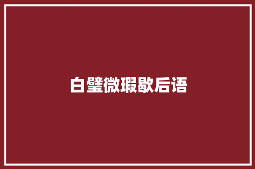 白璧微瑕歇后语