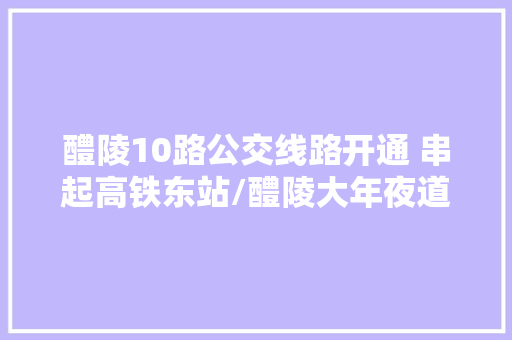 醴陵10路公交线路开通 串起高铁东站/醴陵大年夜道/汽车西站