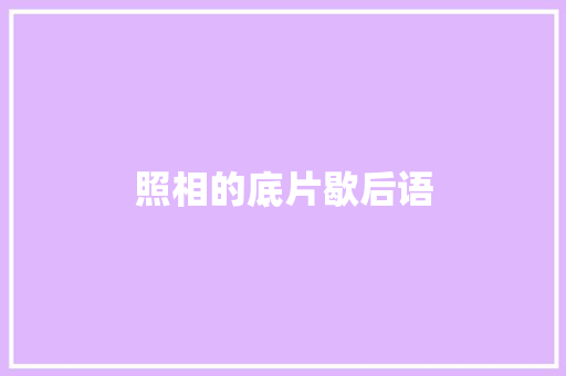 照相的底片歇后语