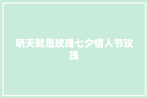 明天就是玫瑰七夕情人节玫瑰