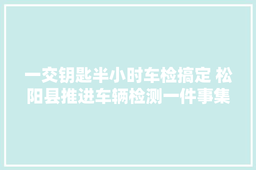 一交钥匙半小时车检搞定 松阳县推进车辆检测一件事集成改革