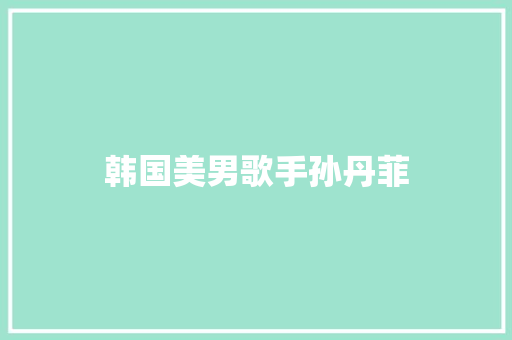 韩国美男歌手孙丹菲