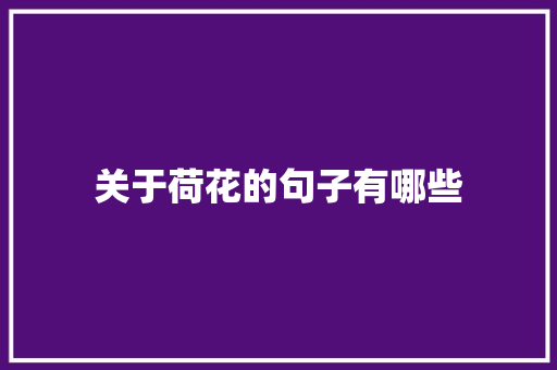 关于荷花的句子有哪些