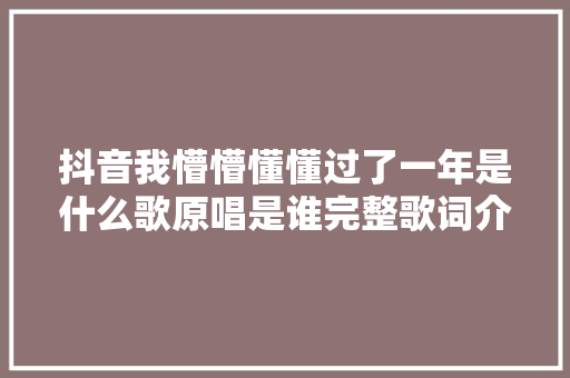 抖音我懵懵懂懂过了一年是什么歌原唱是谁完整歌词介绍