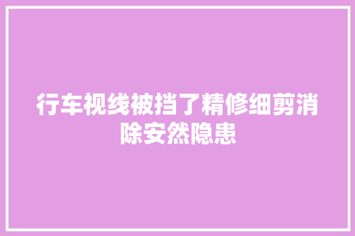 行车视线被挡了精修细剪消除安然隐患