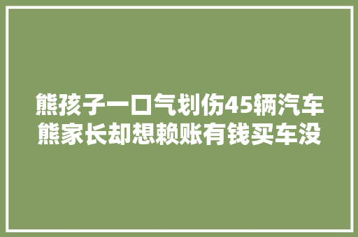 熊孩子一口气划伤45辆汽车熊家长却想赖账有钱买车没钱修吗