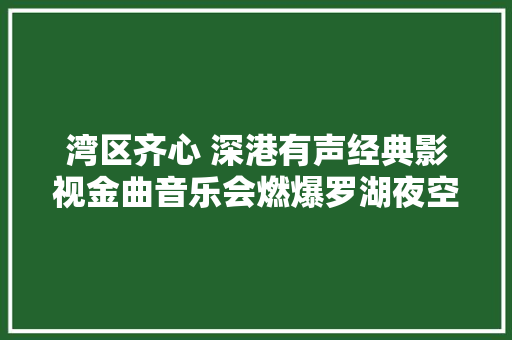 湾区齐心 深港有声经典影视金曲音乐会燃爆罗湖夜空