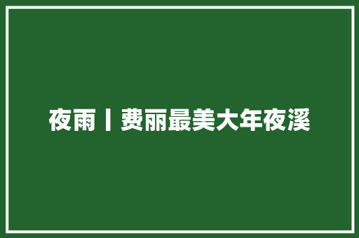夜雨丨费丽最美大年夜溪