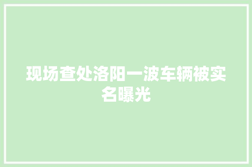 现场查处洛阳一波车辆被实名曝光