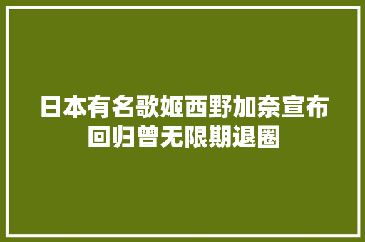 日本有名歌姬西野加奈宣布回归曾无限期退圈