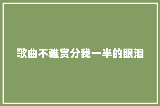 歌曲不雅赏分我一半的眼泪