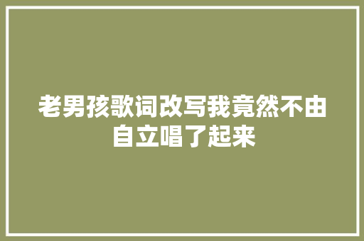 老男孩歌词改写我竟然不由自立唱了起来