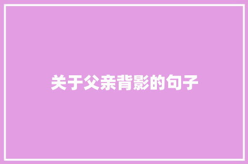 关于父亲背影的句子