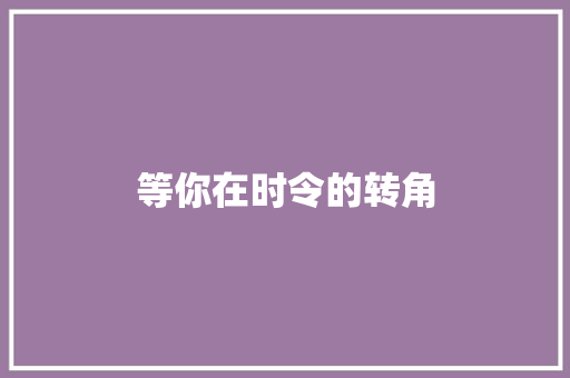 等你在时令的转角
