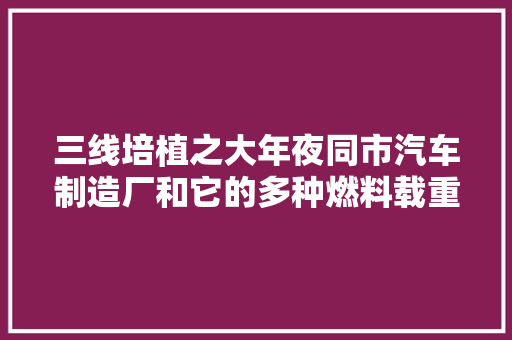 三线培植之大年夜同市汽车制造厂和它的多种燃料载重汽车