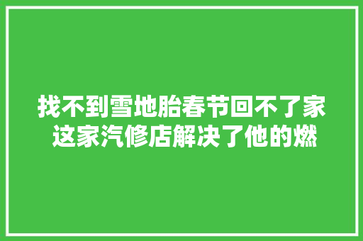 找不到雪地胎春节回不了家 这家汽修店解决了他的燃眉之急