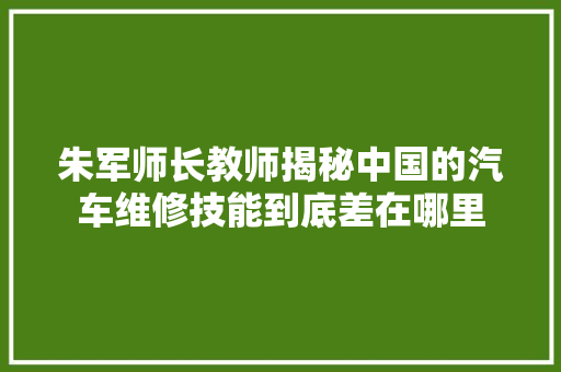 朱军师长教师揭秘中国的汽车维修技能到底差在哪里