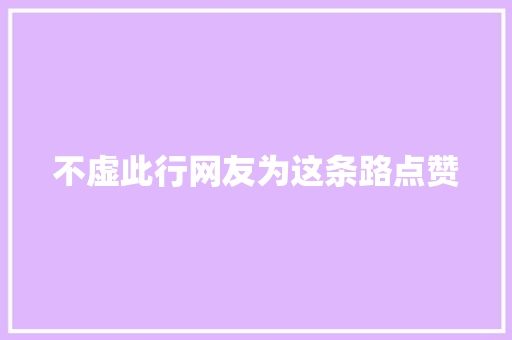 不虚此行网友为这条路点赞