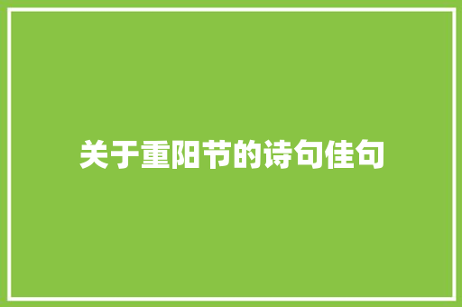 关于重阳节的诗句佳句