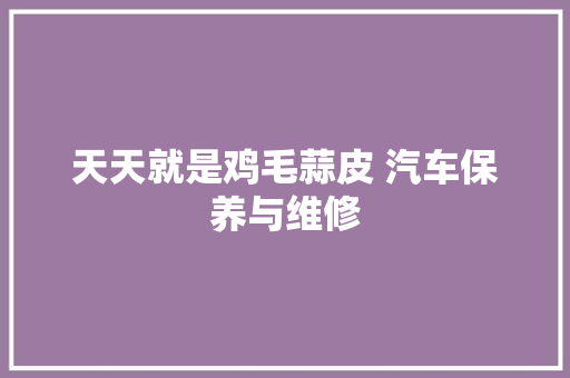 天天就是鸡毛蒜皮 汽车保养与维修