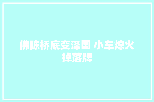 佛陈桥底变泽国 小车熄火掉落牌