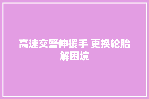 高速交警伸援手 更换轮胎解困境