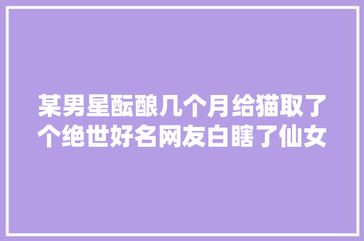 某男星酝酿几个月给猫取了个绝世好名网友白瞎了仙女猫的颜值 休闲娱乐