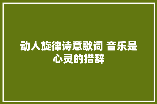 动人旋律诗意歌词 音乐是心灵的措辞