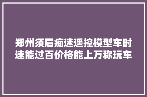 郑州须眉痴迷遥控模型车时速能过百价格能上万称玩车很放松