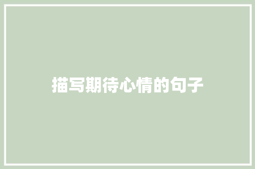 描写期待心情的句子