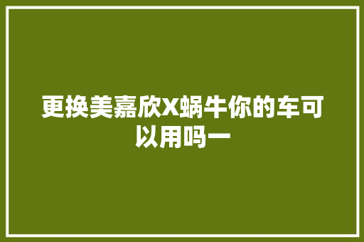 更换美嘉欣X蜗牛你的车可以用吗一