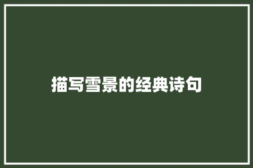 描写雪景的经典诗句