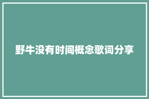 野牛没有时间概念歌词分享
