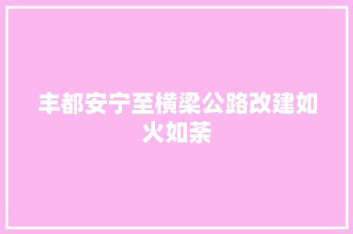 丰都安宁至横梁公路改建如火如荼