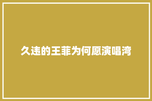 久违的王菲为何愿演唱湾
