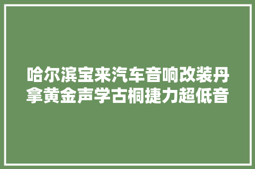 哈尔滨宝来汽车音响改装丹拿黄金声学古桐捷力超低音