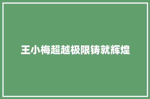 王小梅超越极限铸就辉煌