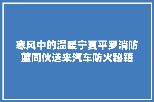 寒风中的温暖宁夏平罗消防蓝同伙送来汽车防火秘籍