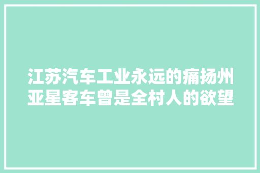 江苏汽车工业永远的痛扬州亚星客车曾是全村人的欲望