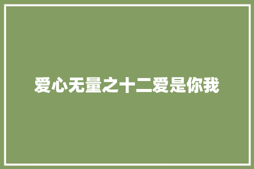 爱心无量之十二爱是你我