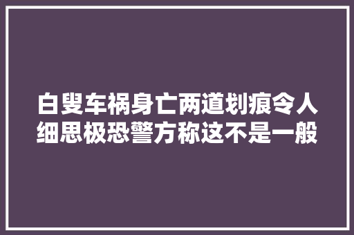白叟车祸身亡两道划痕令人细思极恐警方称这不是一般的车祸嫌犯撞伤不如撞去世