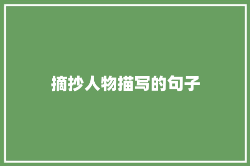 摘抄人物描写的句子