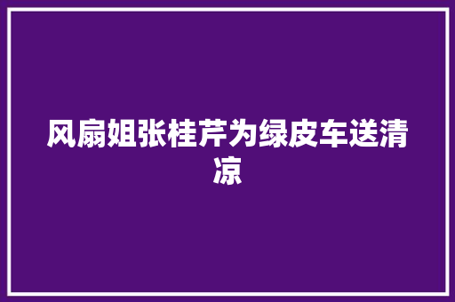 风扇姐张桂芹为绿皮车送清凉
