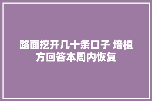 路面挖开几十条口子 培植方回答本周内恢复