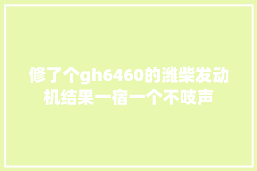 修了个gh6460的潍柴发动机结果一宿一个不吱声