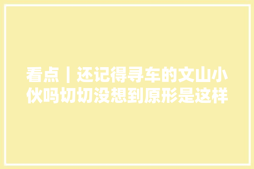 看点｜还记得寻车的文山小伙吗切切没想到原形是这样的