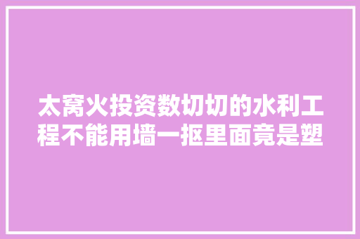 太窝火投资数切切的水利工程不能用墙一抠里面竟是塑料泡沫