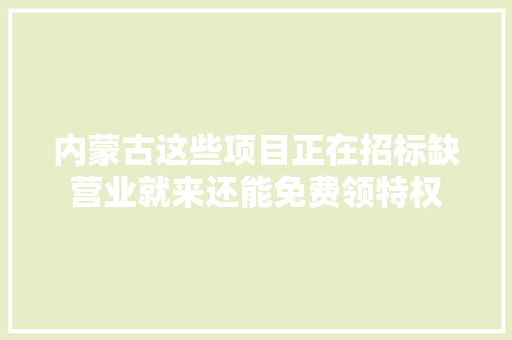 内蒙古这些项目正在招标缺营业就来还能免费领特权